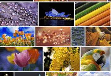 Colorblindly picture